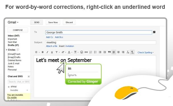 Chrome Web Store - Ginger - Grammar & Spell checker