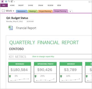 Microsoft OneNote 2013 1