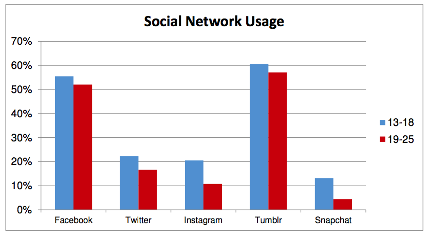 social network usage among young users