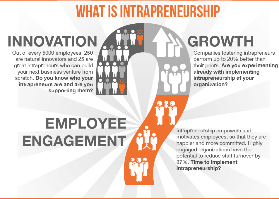 Do You Have an Intrapreneurial Organization?