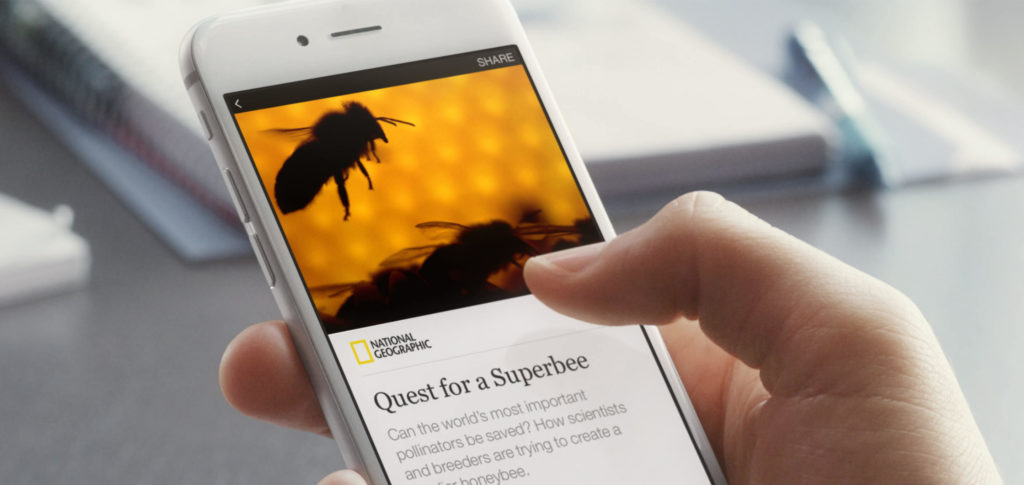 Instant Articles Feature User Reading National Geographic Bee's Article