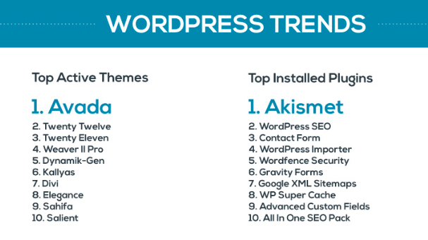 top wordpress themes and plugins
