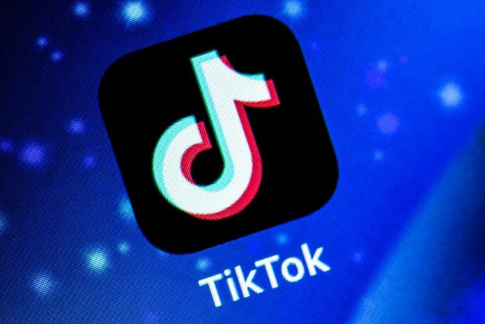 TikTok Most Popular Domain 2021
