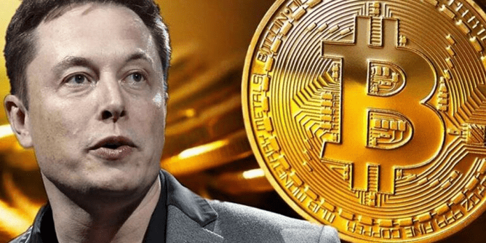 What If Elon Musk Forgets His Bitcoin Password? / Elon Musk Supports Bitcoin, Says BTC on the Verge of Broad ... - Elon musk has said that tesla will no longer accept bitcoin payments.