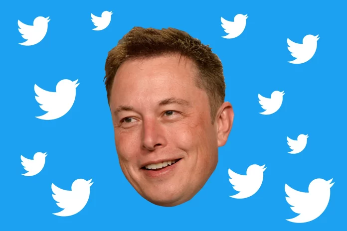 Elon Musk Twitter Investment