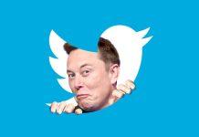 Twitter poll by elon Musk